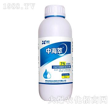 �����͹����~���׷�-�к���-�������