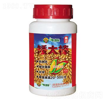 �����-�r(n��ng)�̘�