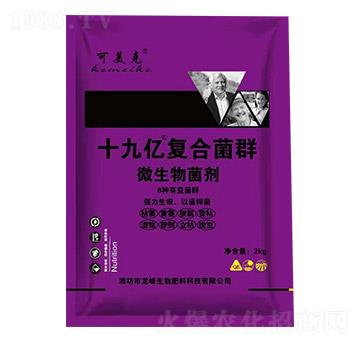 ΢�������-ʮ�Ń|�ͺϾ�Ⱥ-������