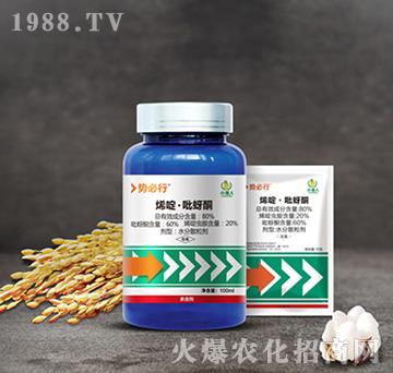 80%ϩड�����ͪ-��(sh��)����-С����