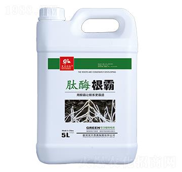 ��ø����-��»��r