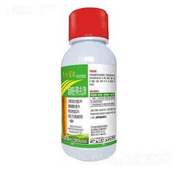 24%���ס�ݬȥ��-�滯��λ-�滯���h