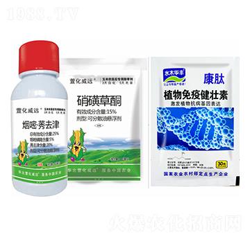 ����ݬȥ��+���ǲ�ͪ+ֲ�����߽�����-�滯���h