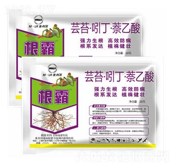 �|̦���Ŷ���������-��