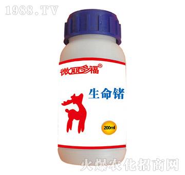 �����N-΢���ร