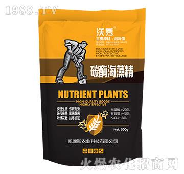 ̼ø���徫-����-�P��