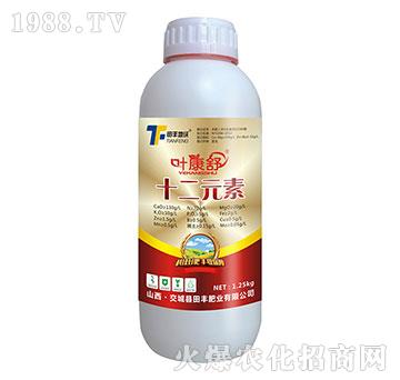 ʮ��Ԫ��-�~����-���S����