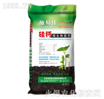 ���}΢�������-����������