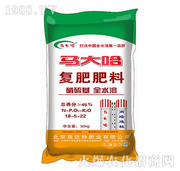 �����ͺϷ�18-5-2