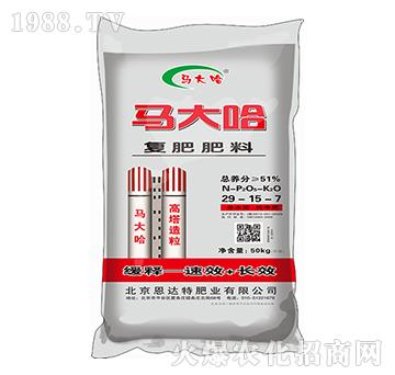 �ͺϷ���29-15-7