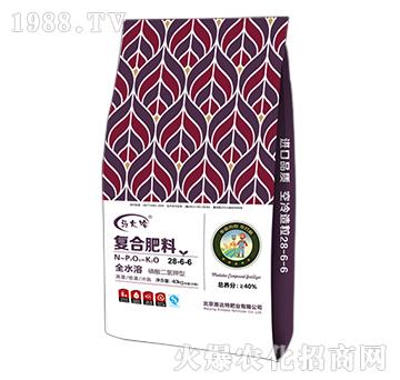 ���������͏ͺϷ���28-6-6-�R���