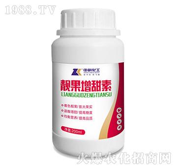 �n��������-�пƻ���