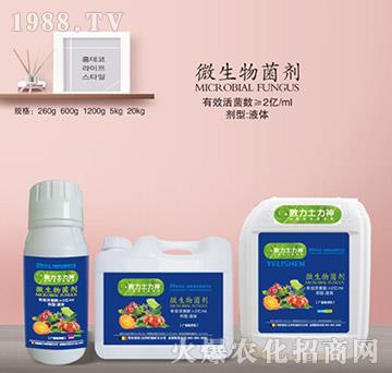 ΢���������2�|�����-ʩ����