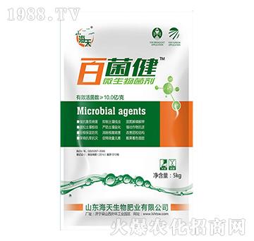 ΢�������-�پ���-��