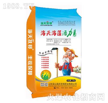 ���캣�������-������