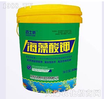 �������-��ʿ��