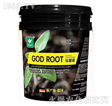 �ɾ���-�Zؐ��