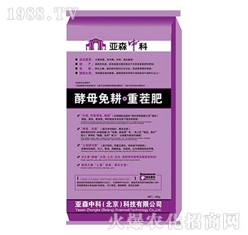 ��ĸ������ز��-��ɭ����