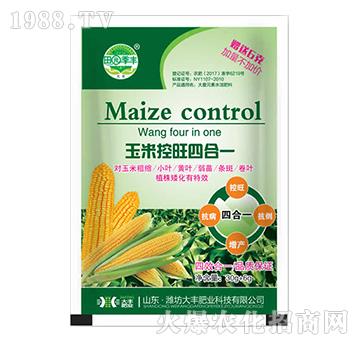 ���׿����ĺ�һ-��@��