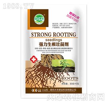 36�ˏ����������焩-