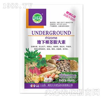 ���¸��o�����-��@��