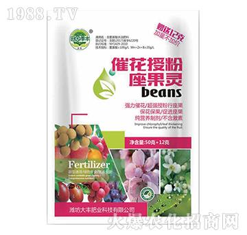 �߻��ڷ������`-��@��