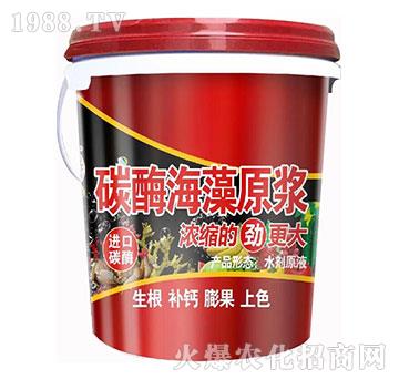 ̼ø����ԭ�{-��@���S