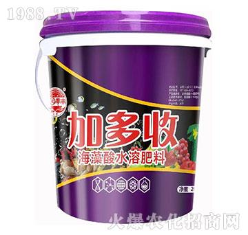 �Ӷ���-��@���S-���S