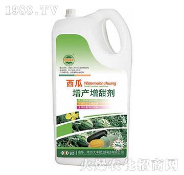 �������a(ch��n)������-��@��