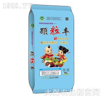 ���S����_ʩ����-�w��