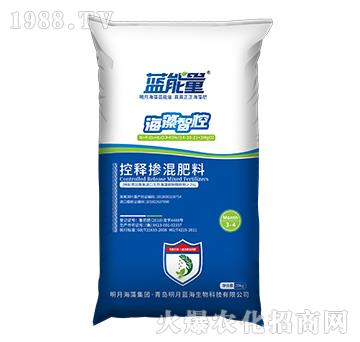 ��ጓ������-�����ǿ�