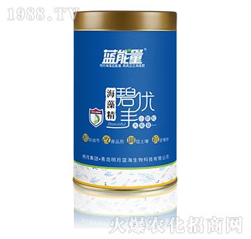 ���徫-�̃�(y��u)�S-�{����