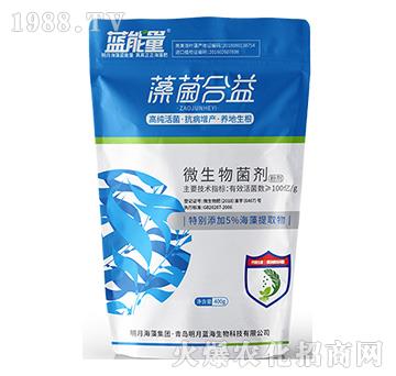 ΢�������-�������-�{����