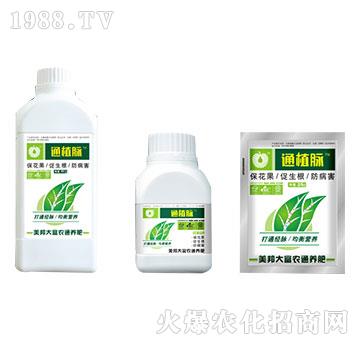 �V�V��ֲͨ�}-����Ƽ�