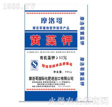 52%�S���-Ħ���-