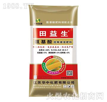 �������ጓ������28