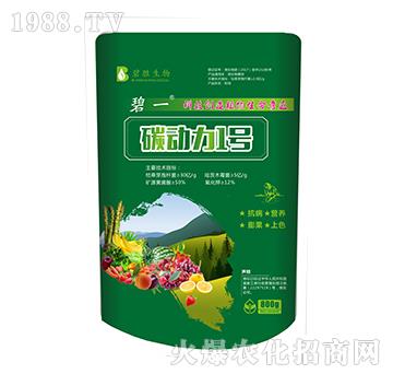 ̼����1̖-��һ-�̄�����