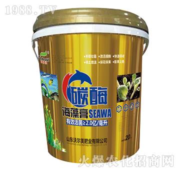 ̼ø�����-�֠���