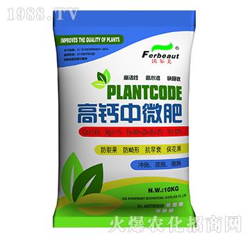 ���}��΢��-�֠���