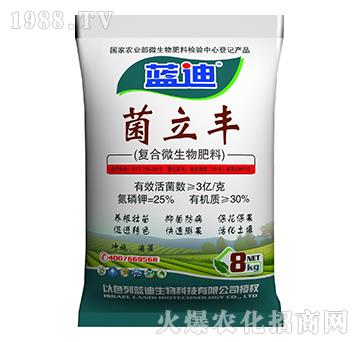 �ͺ�΢�������-�����S-�֠���