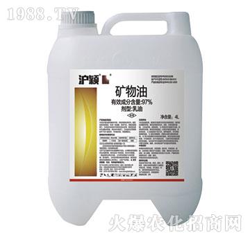 97%�V����-���f-��