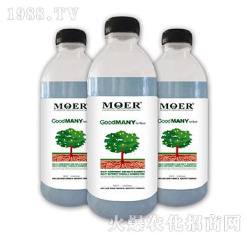 �Ì�(sh��)��-Ħ������