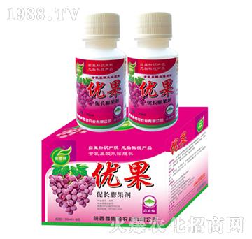 ���L�����-��(y��u)��-��˼