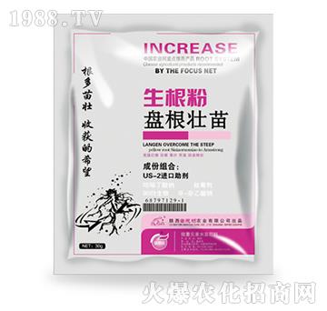 �P������������-��˼�D