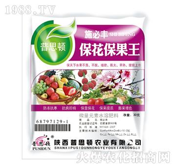 ����������-ʩ���S-��