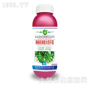 ������������Ĳ���-��