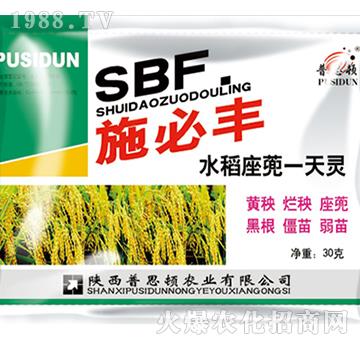 ˮ������һ���`-ʩ���S