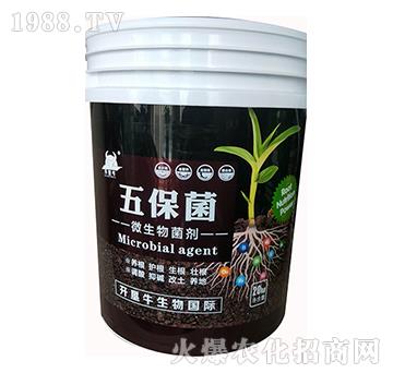 ΢�������-�屣��-�_(k��i)��ţ