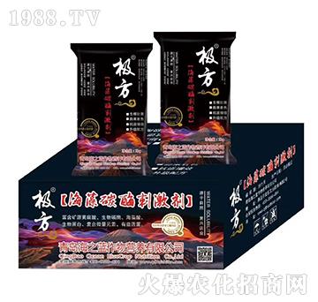 ����̼ø�̼���-�O��-