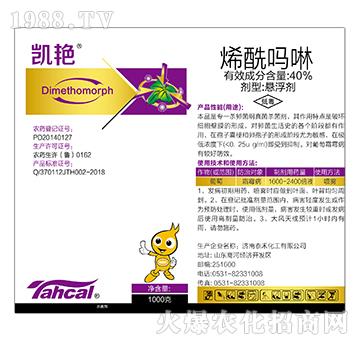 40%ϩ������-�P�G-̩�̻���